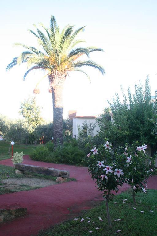Nea Kydonia Suites & Studios Daratsos Dış mekan fotoğraf
