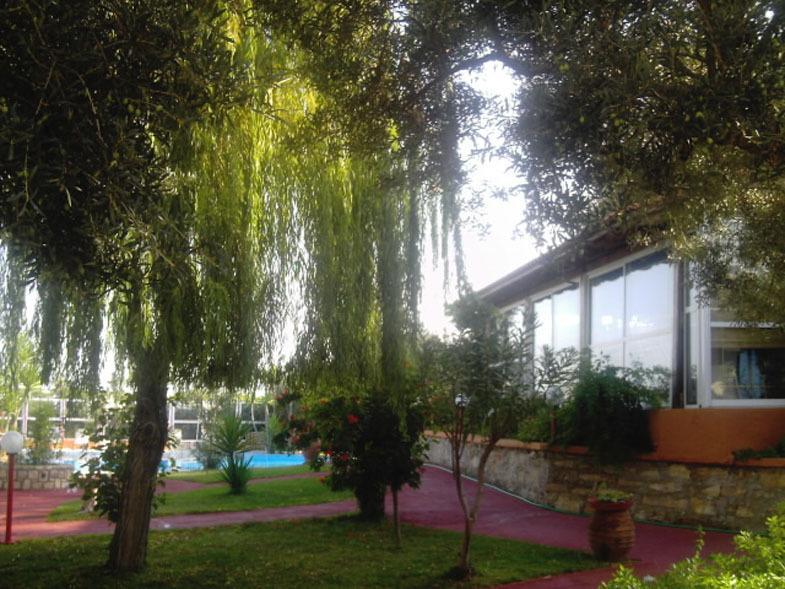 Nea Kydonia Suites & Studios Daratsos Dış mekan fotoğraf